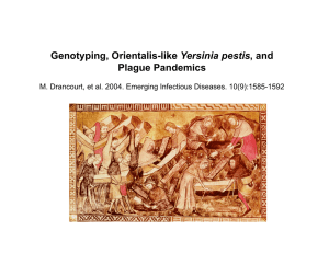 Yersinia pestis Plague Pandemics
