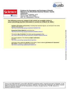 Evidence for Karyogamy and Exchange of Genetic Giardia intestinalis