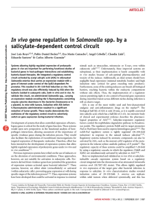 In vivo gene regulation in Salmonella spp. by a
