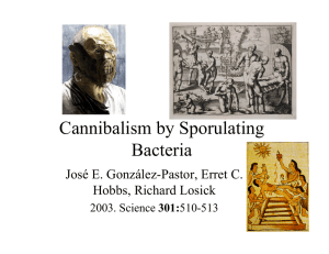 Cannibalism by Sporulating Bacteria José E. González-Pastor, Erret C. Hobbs, Richard Losick