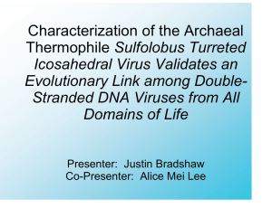 Characterization of the Archaeal Sulfolobus Turreted Icosahedral Virus Validates an