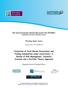 10-WP-SEMRU-06 For More Information on the SEMRU Working Paper Series Email: