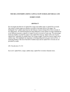 We investigate the behavior of capital flow surges and sudden... The extent to which surges are related to reversals is... THE RELATIONSHIPS AMONG CAPITAL FLOW SURGES, REVERSALS AND