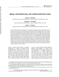 Aging, self-referencing, and medial prefrontal cortex