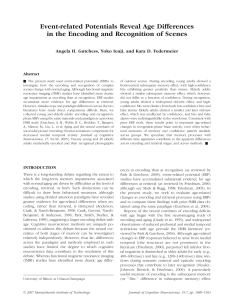 Event-related Potentials Reveal Age Differences Abstract