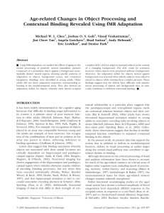 Age-related Changes in Object Processing and