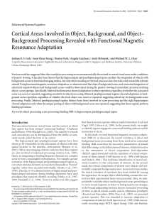 Cortical Areas Involved in Object, Background, and Object–