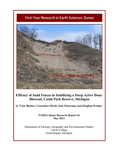 Efficacy of Sand Fences in Stabilizing a Steep Active Dune