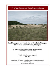 Sand Transport and Vegetation on Two Lake Michigan