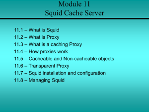 Module 11 Squid Cache Server