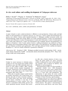 In vitro seed culture and seedling development of Calopogon tuberosus