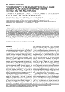 EpidEndrum amphistomum in situ mycorrhizal fungi uSing molEcular markErS *, Laura L. corey