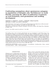 Confronting assumptions about spontaneous autogamy Eulophia alta