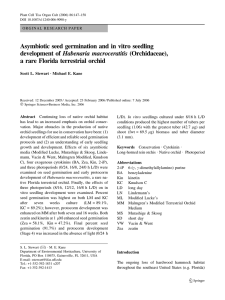 Asymbiotic seed germination and in vitro seedling