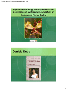 Daniela Dutra Reproductive Biology and Asymbiotic Seed Cyrtopodium punctatum