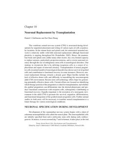 Chapter 10 Neuronal Replacement by Transplantation