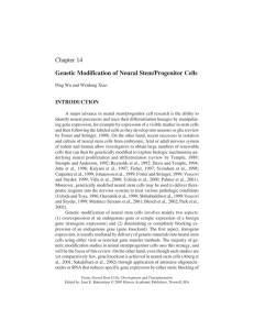 Chapter 14 Genetic Modification of Neural Stem/Progenitor Cells INTRODUCTION