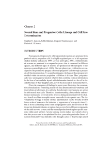 Chapter 2 Neural Stem and Progenitor Cells: Lineage and Cell Fate Determination INTRODUCTION