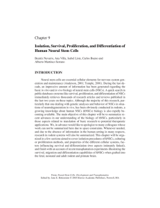 Chapter 9 Isolation, Survival, Proliferation, and Differentiation of Human Neural Stem Cells INTRODUCTION