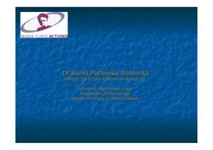 Dr Ksenia Matlawska-Wasowska