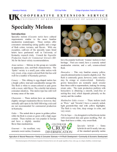 Specialty Melons Introduction