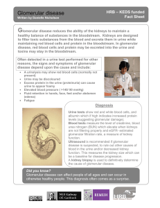 G Glomerular disease HRB – KEDS funded Fact Sheet