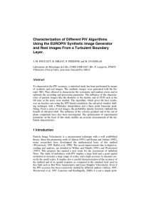 Characterization of Different PIV Algorithms Using the EUROPIV Synthetic Image Generator