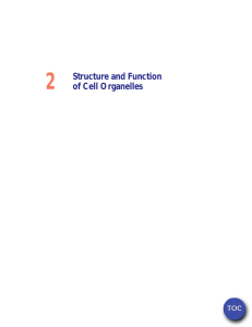 2 Structure and Function of Cell Organelles TOC