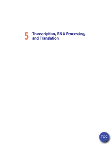 5 Transcription, RNA Processing, and Translation TOC
