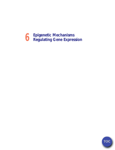 6 Epigenetic Mechanisms Regulating Gene Expression TOC
