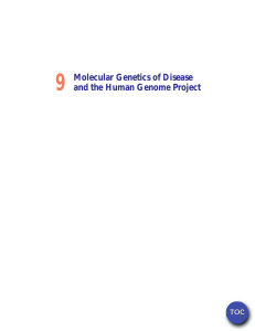 9 Molecular Genetics of Disease and the Human Genome Project TOC