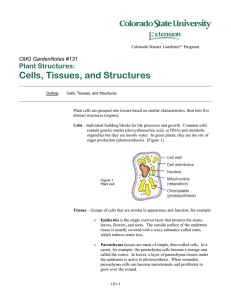 Cells, Tissues, and Structures Plant Structures:  CMG GardenNotes #131