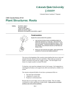 Plant Structures: Roots  CMG GardenNotes #132