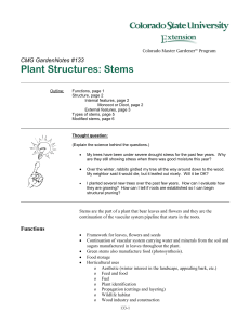 Plant Structures: Stems  CMG GardenNotes #133