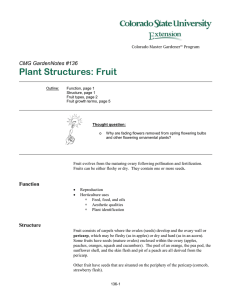 Plant Structures: Fruit  CMG GardenNotes #136