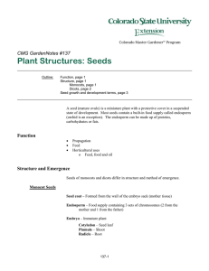 Plant Structures: Seeds  CMG GardenNotes #137