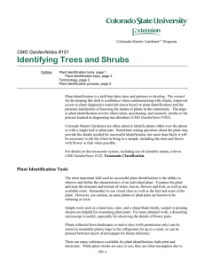 Identifying Trees and Shrubs  CMG GardenNotes #151