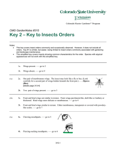 Key 2 – Key to Insects Orders CMG GardenNotes #315