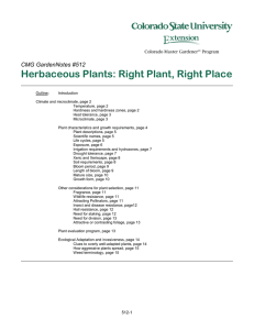 Herbaceous Plants: Right Plant, Right Place  CMG GardenNotes #512