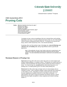Pruning Cuts  CMG GardenNotes #612