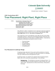 Tree Placement: Right Plant, Right Place  CMG GardenNotes #631