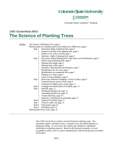 The Science of Planting Trees  CMG GardenNotes