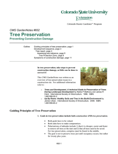Tree Preservation  CMG GardenNotes #652 Preventing Construction Damage