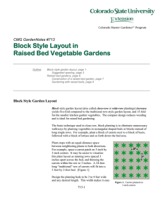 Block Style Layout in Raised Bed Vegetable Gardens  CMG GardenNotes #713