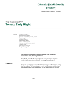 Tomato Early Blight  CMG GardenNotes #718