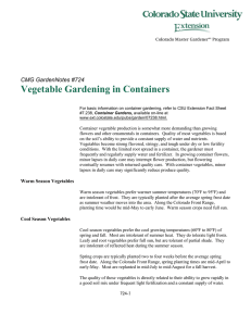 Vegetable Gardening in Containers  CMG GardenNotes #724