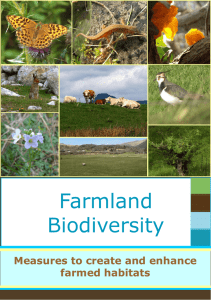 Farmland Biodiversity Measures to create and enhance farmed habitats