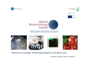 “Networks as Knowledge - Biotechnology Networks in the Atlantic Area”