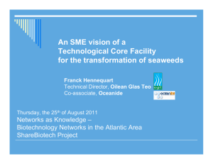 An SME vision of a Technological Core Facility Networks as Knowledge –
