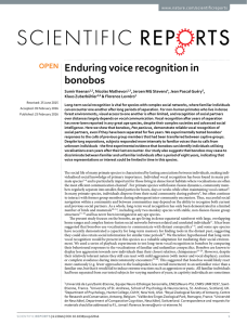 Enduring voice recognition in bonobos